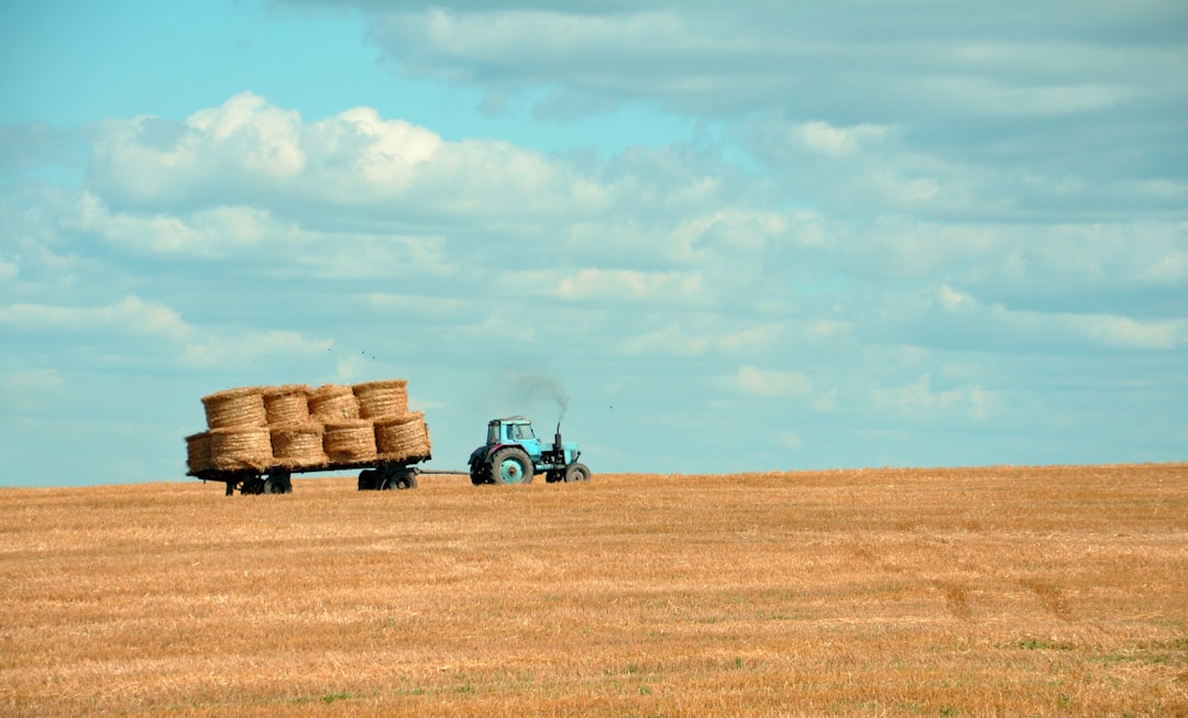 Photo Image: Farm Layout