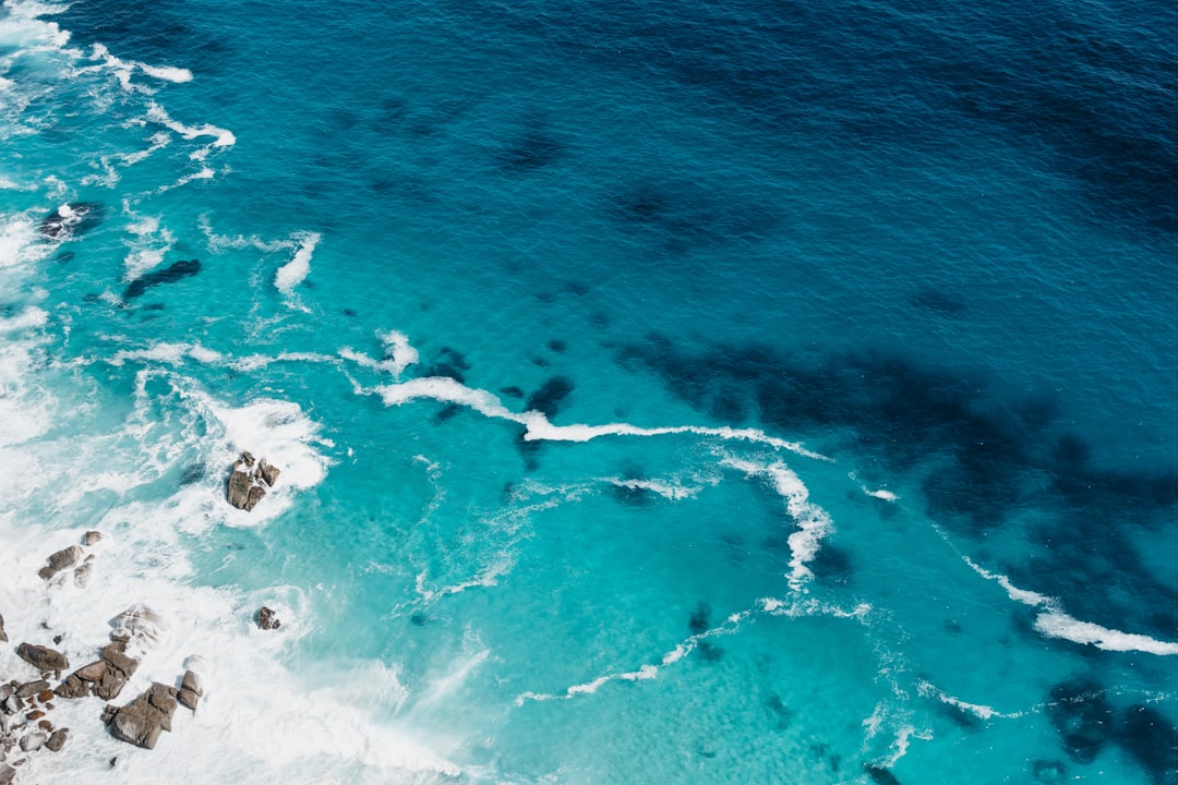 Photo Image: Underwater scene Nouns: Sahuagin, ocean