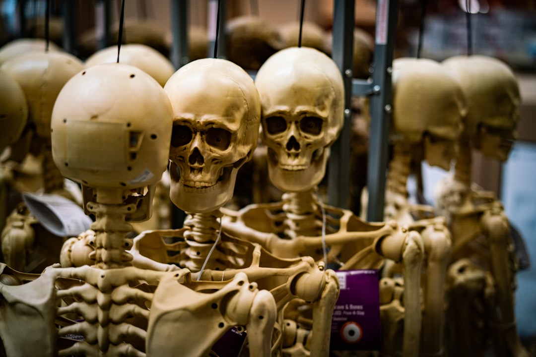 Photo Judy Warren: Horror film